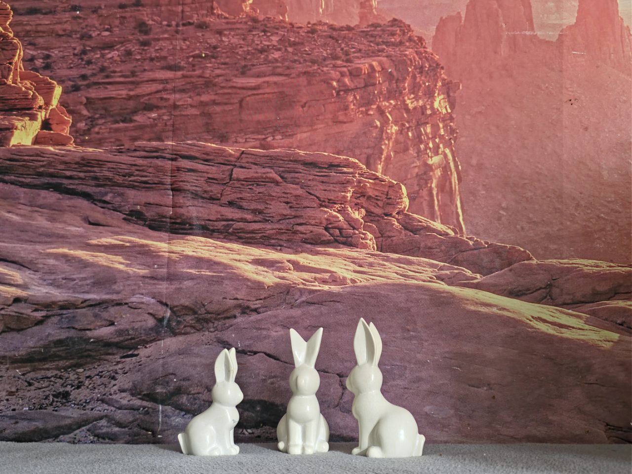 Bunny Set TS