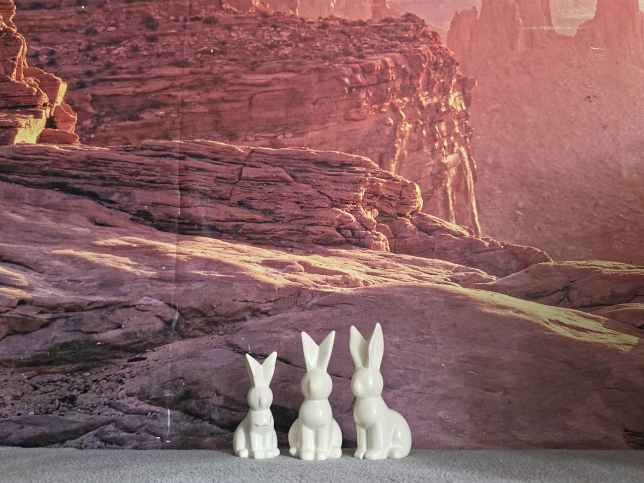 Bunny Set TS