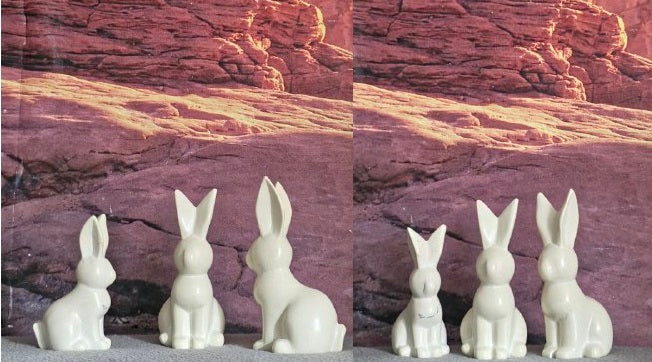 Bunny Set TS