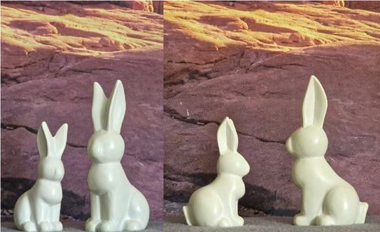 Bunny Set MC