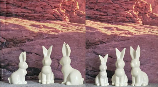Bunny Set TS